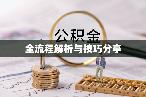 天镇全流程解析与技巧分享